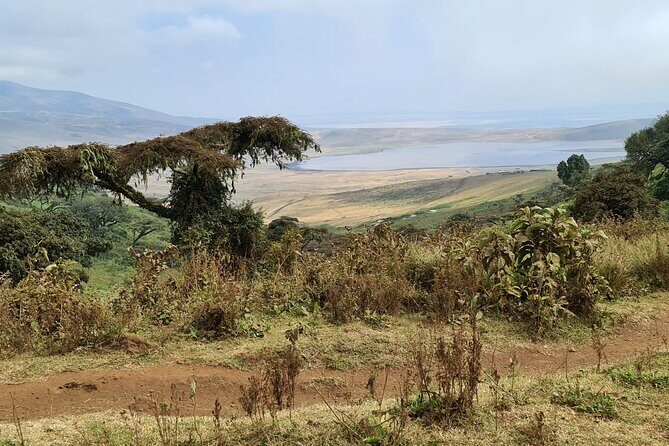 5 Days Safari Lodges & Culture - Considerations and Price-Value Assessment