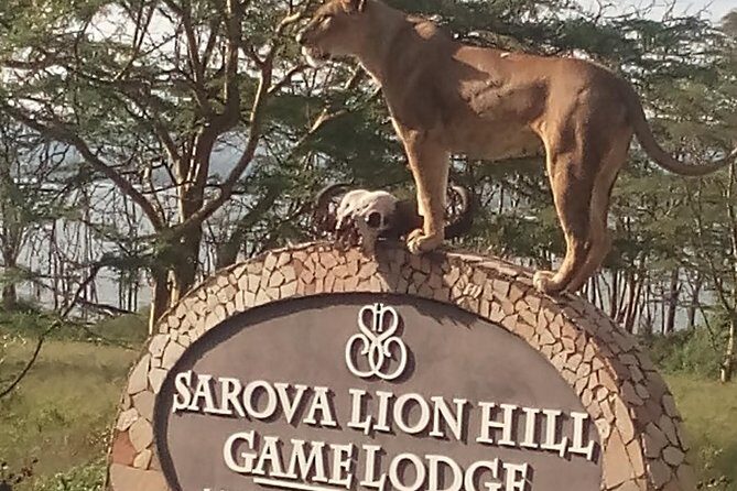 5 Days Safari to Aberdare N/P, Nakuru N/P and Maasai Mara N/R. - Practical Details and What They Mean for You