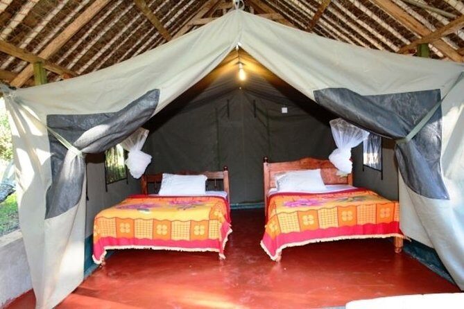 5 Days safari to Maasai Mara ,Lake Nakuru and Hell's gate national park - What Makes This Tour Stand Out?