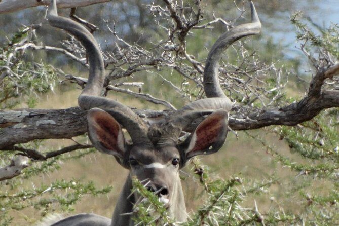 5 Days Safari to Nyerere NP (Selous GR) and Mikumi NP - Who Should Consider This Safari?