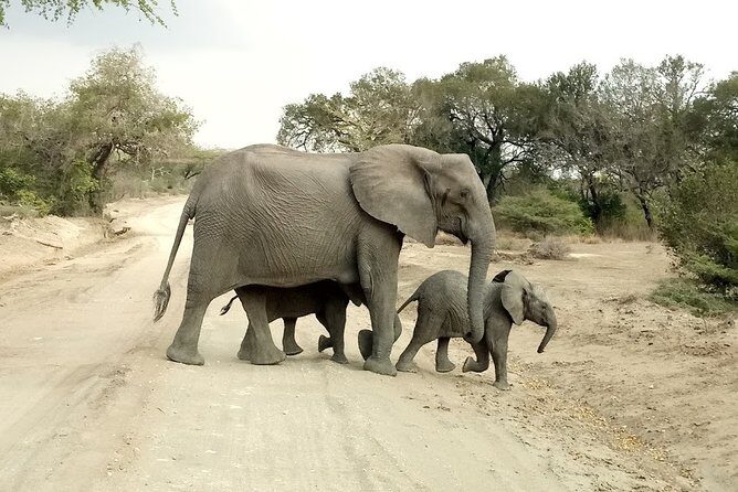 5 Days Safari to Nyerere NP (Selous GR) and Mikumi NP - Practical Details That Matter