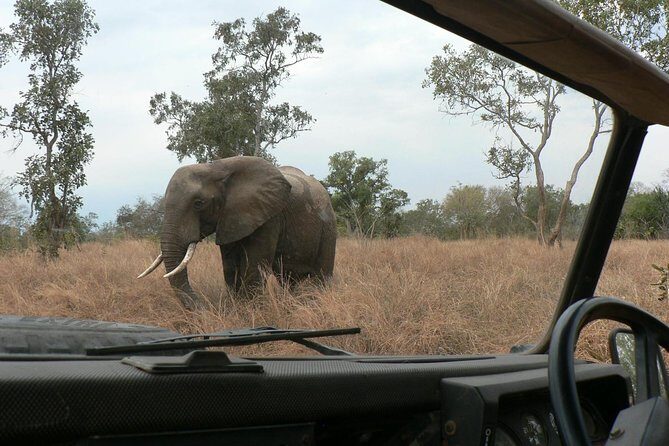 5 Days Safari to Selous & Mikumi - Transportation & Comfort