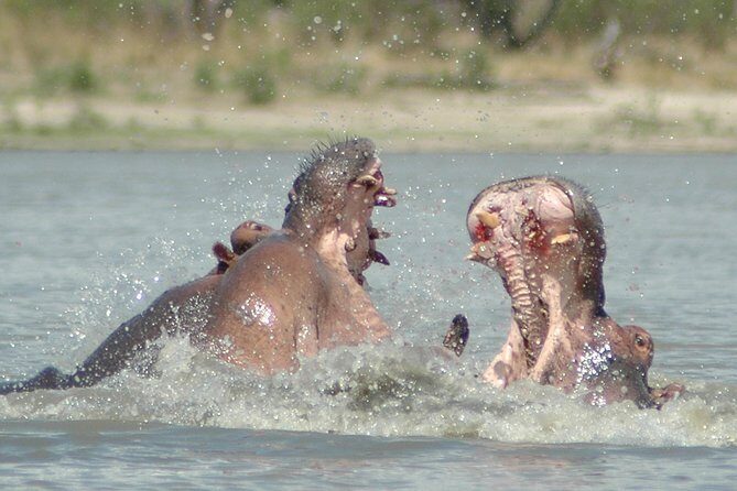 5 Days Safari to Selous & Mikumi - Why This Tour Offers Great Value