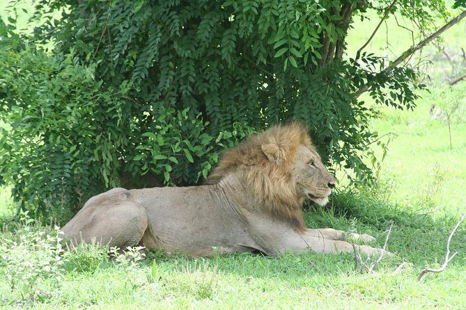 5 Days Safari to Selous & Mikumi - Frequently Asked Questions