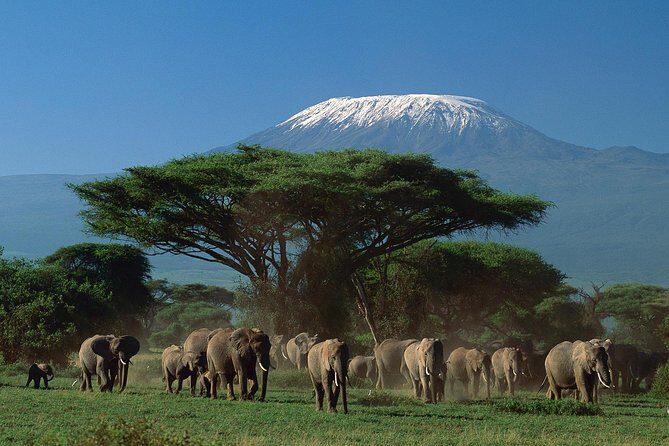 5 days Safari to Tarangire, Ngorongoro, Serengeti and Lake Manyara - Practical Considerations