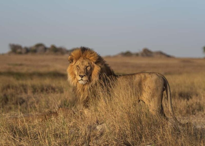 5 days safari to Tsavo East, West & Amboseli from Mombasa - The Sum Up