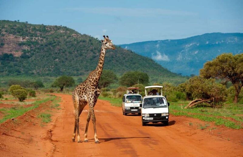 5 days safari to Tsavo East, West & Amboseli from Mombasa - FAQ