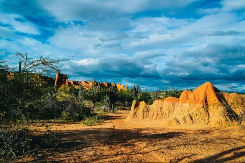 5 days Safari to Tsavo East/West and Amboseli from Mombasa - The Sum Up: Who Is This Safari Best For?