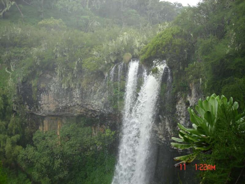 5 Days Samburu, Ol-Pejeta and Aberdares Wildlife Safari - Final Day: Back to Nairobi