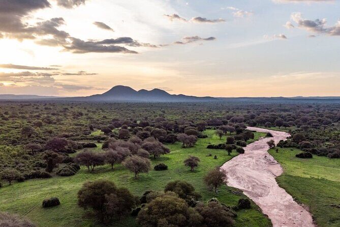 5-Days Selous Game Reserve and Mikumi National Park Tour - The Itinerary in Detail: What You’ll Experience Each Day