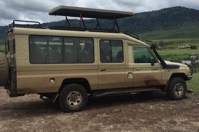 5 days serengeti, ngorongoro, tarangire & manyara lodge tour - Comfort in the Wilderness