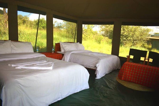5 days serengeti, ngorongoro, tarangire & manyara lodge tour - Small Group Experience