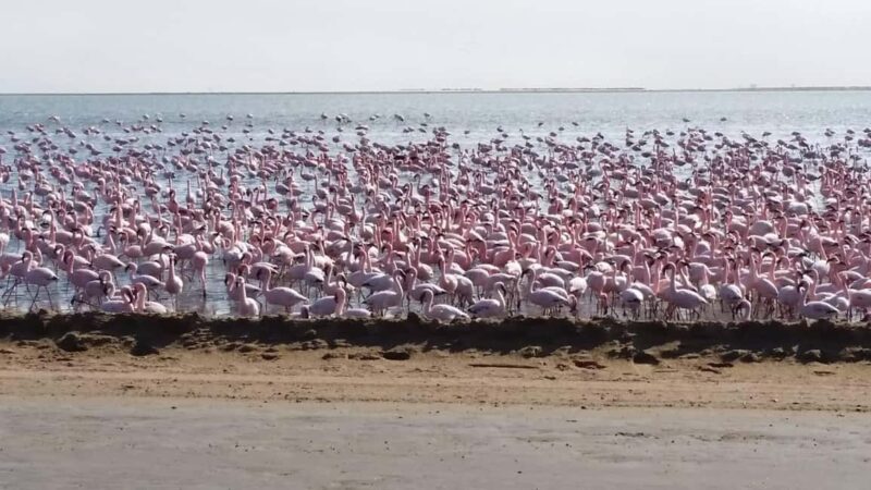 5 Days Sossusvlei and Swakopmund Tour - Shared Shuttle - Key Points