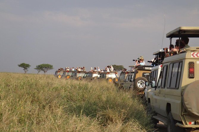 5 Days Special Safari to see migration - Exploring the Serengeti: The Heart of the Safari