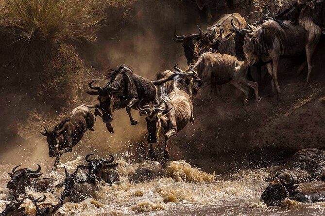 5 Days Special Safari to see migration - Who Is This Tour Best For?