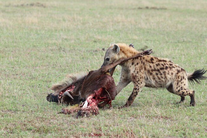 5 Days Tanzania Budget Camping Safari from Arusha - Frequently Asked Questions