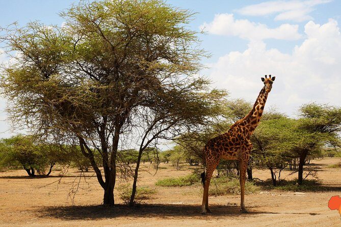5 days Tanzania Camping Safari - An In-Depth Look at the Safari Itinerary