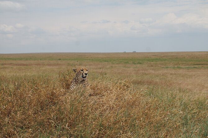 5 days Tanzania Camping Safari - The Sum Up