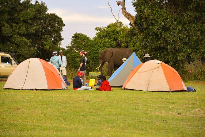 5 Days Tanzania Family Safari - Transportation, Timing, and Group Size