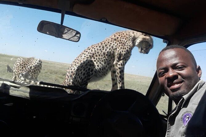 5 Days Tanzania Group Joining Safari, Tarangire/Serengeti/Ngorongoro Crater - The Authenticity and Experience