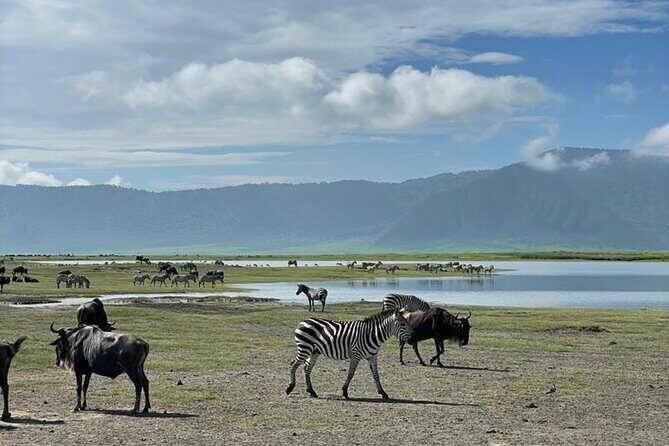 5 Days Tanzania Joining Safari with Pick Up Included Shared Tour - Final Thoughts