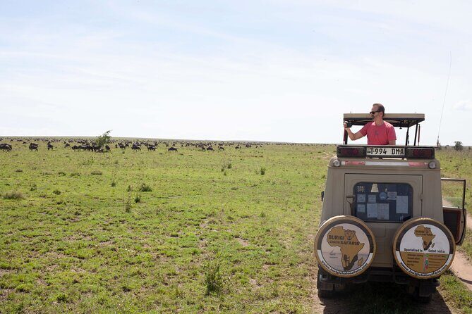 5 days Tanzania midrange lodge Private safari - Practical Considerations and What It Means for You