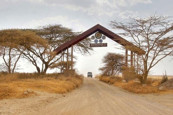 5 Days Tanzania Safari Great Wildebeest Migration - What the Tour Includes and What It Doesn’t