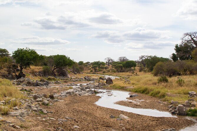5 Days Tanzania Safari Great Wildebeest Migration - Practical Considerations and Tips for Travelers