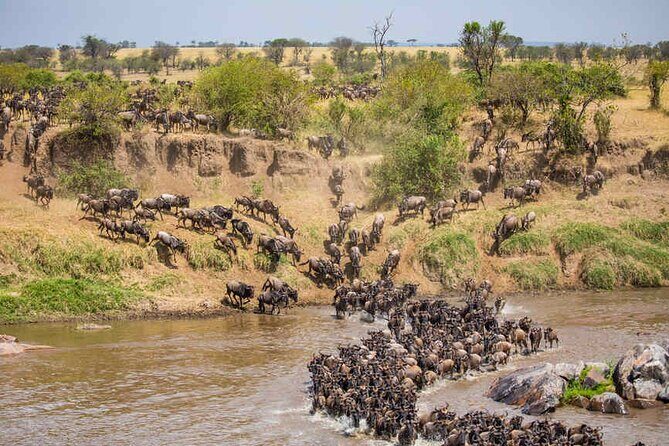 5 Days Tanzania Safari Great Wildebeest Migration - FAQ
