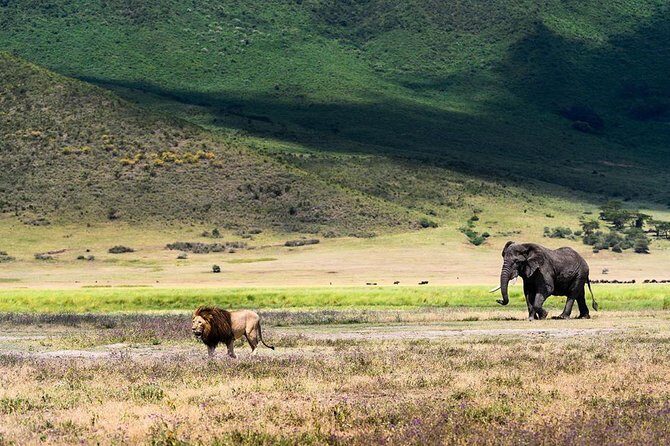 5 days Tanzania wilderness Camping tour. - Key Points