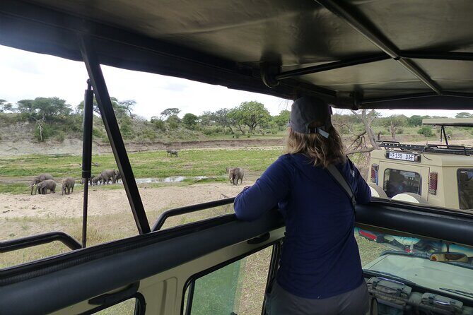 5 Days Tanzania Wildlife Safari Private Tour - Key Points