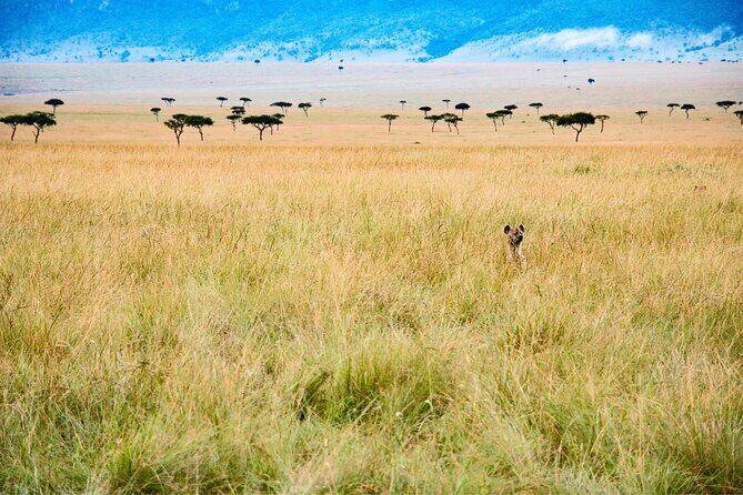 5-days Tarangire-Serengeti-Ngorongoro Safari - The Itinerary: What You’ll Experience Day by Day