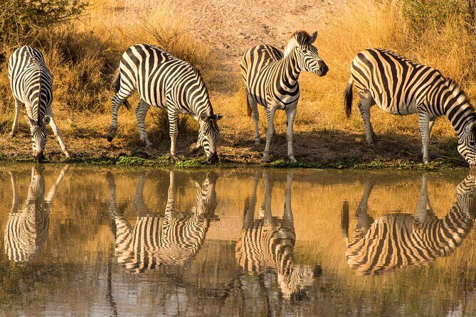 5-days Tarangire-Serengeti-Ngorongoro Safari - FAQs