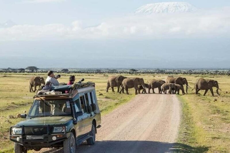 5-Days Tembo safari - Amboseli and Tsavo East - What to Expect from the 5-Day Tembo Safari