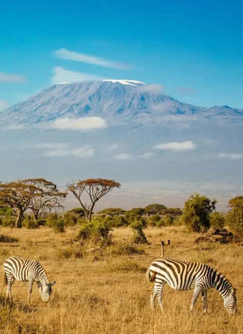5-Days Tembo safari - Amboseli and Tsavo East - Final Thoughts