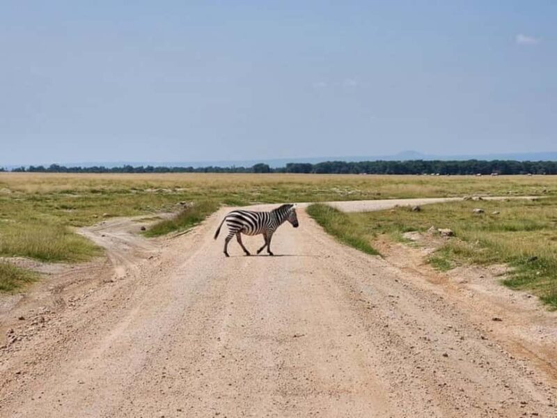 5-Days Tembo safari - Amboseli and Tsavo East - FAQs