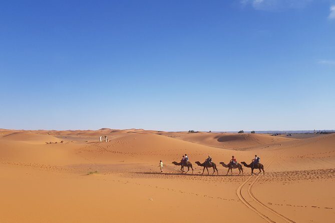 5 Days Tour From Fes - What Makes This Tour Stand Out?