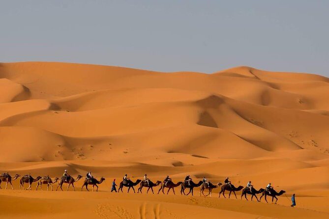 5 Days Tour from Tangier to Marrakech Via Sahara Desert - Practical considerations and value