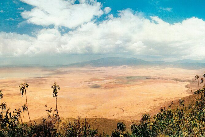 5 days Tour Tarangire, Serengeti, Ngorongoro Crater & Lake Manyara Park-Midrange - Key Points
