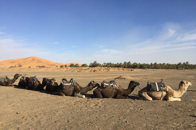 5 Days tours from Tangier to Chefchaouen, Fez, Merzouga Desert and Marrakech - The Sum Up