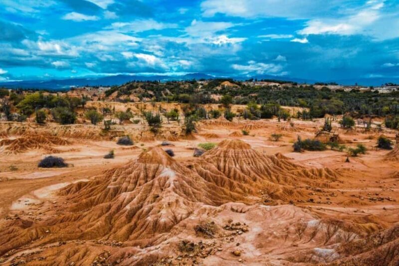 5 days Tsavo East/West and Saltlick Lodge Safari - Who This Safari Is Best For