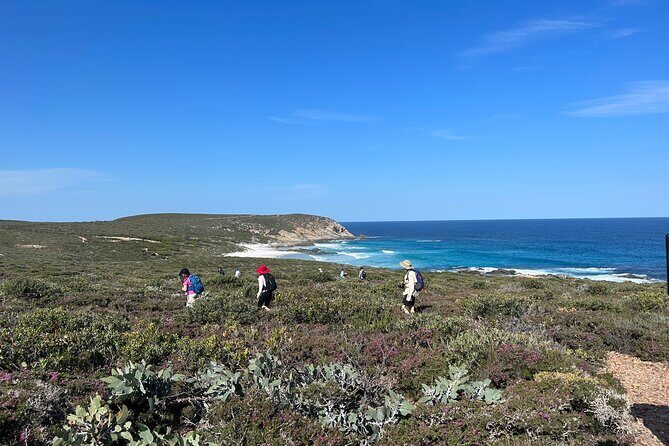 5 Days Walking with Wildflowers - Fitzgerald Biosphere - Who Will Love This Tour?
