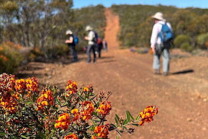 5 Days Walking with Wildflowers - Fitzgerald Biosphere - FAQs