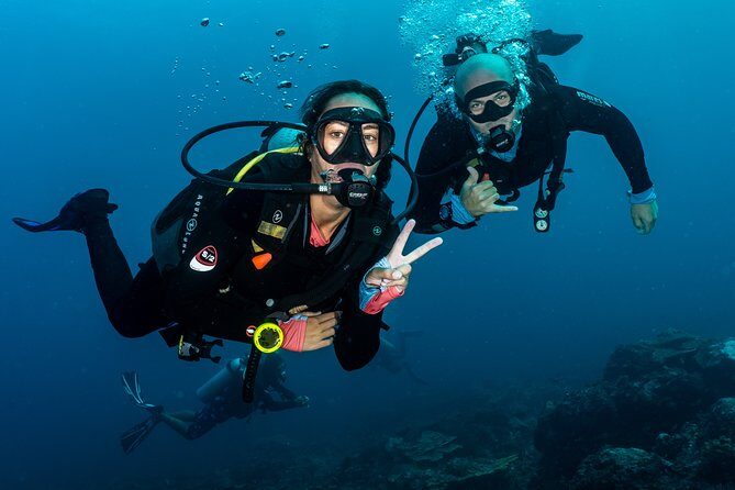 5 Fun Dives in Pemuteran (for certified divers) - Exploration in Menjangan Park - The Cost and Value