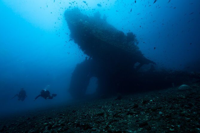 5 Fun Dives in Tulamben (for certified divers) - Discover famous diving sites - An In-Depth Look at the 5 Fun Dives Experience