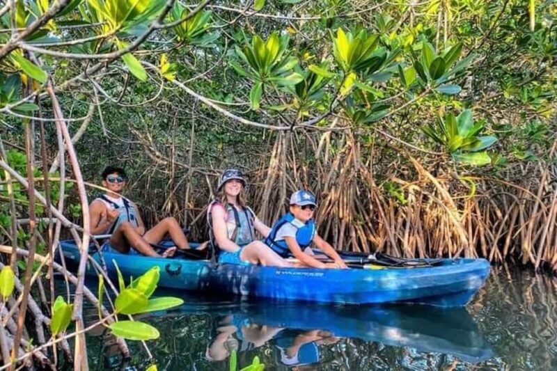 5 h kayak tour through the mangrove forest - Key Points