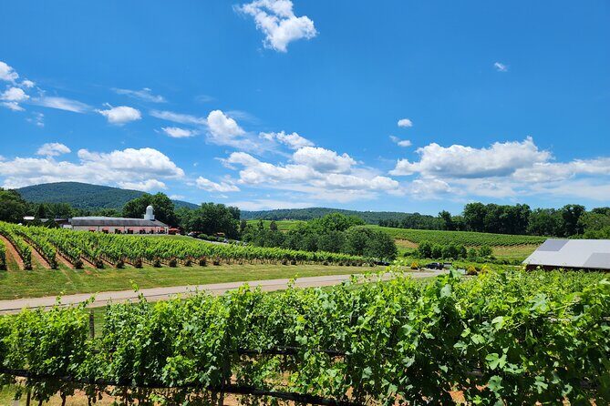 5 Hour Historic Thomas Jefferson Wine Tour - Key Points