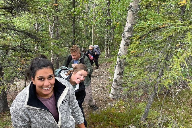 5-Hour Mountain Hiking Tour in the Alaska Range - Denali Area - A Detailed Look at the 5-Hour Mountain Hiking Tour in Denali