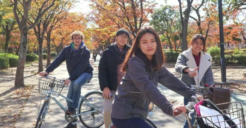5-Hour Osaka Highlights Bike Tour with Lunch - The Real Experience: What Travelers Say