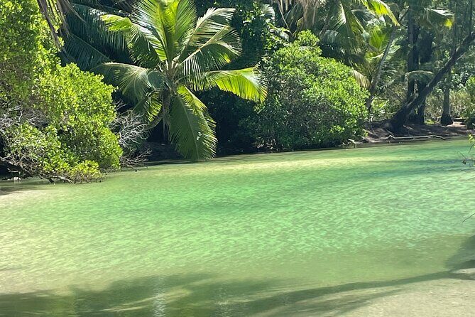 5 Hour Private Customize Tour of Mahe, Seychelles - How the Tour Works: What to Expect
